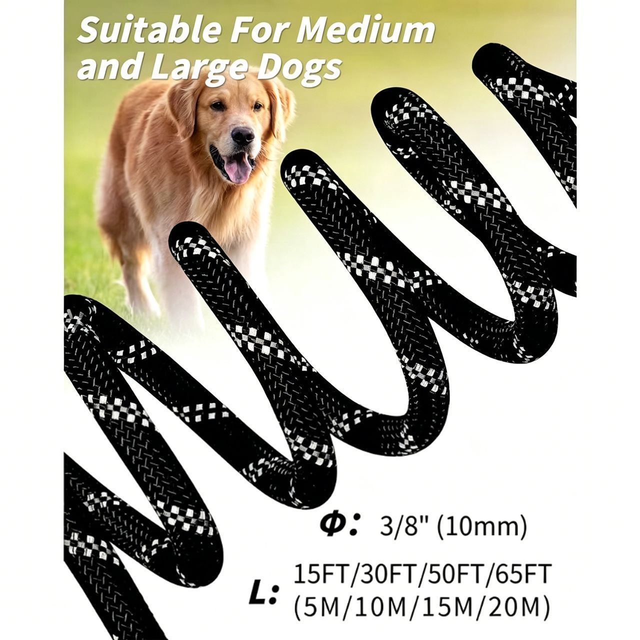 Large Dog Leash Black 02