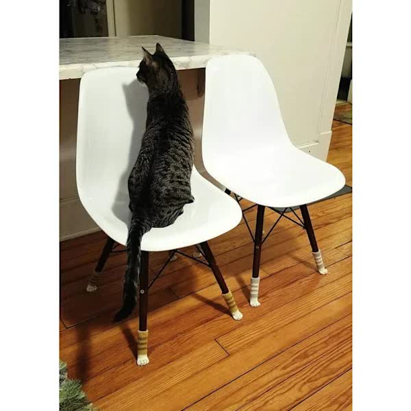 24 Cute Cat Foot Chair Socks Chair Leg Protectors Floor Protectors Anti-Scratch Anti-Sound 24 PCS (6 sets)