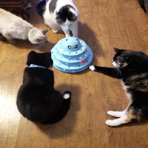 Cat Toy Activation Ball Tower for Cats, Blue