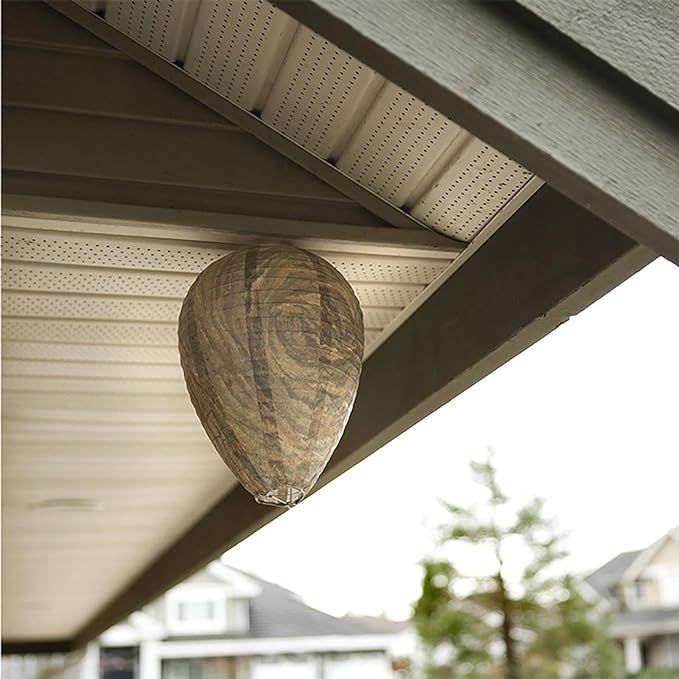 2pcs Non-Toxic Paper Wasp Traps & Bee Deterrent, for Wasp Nest Removal