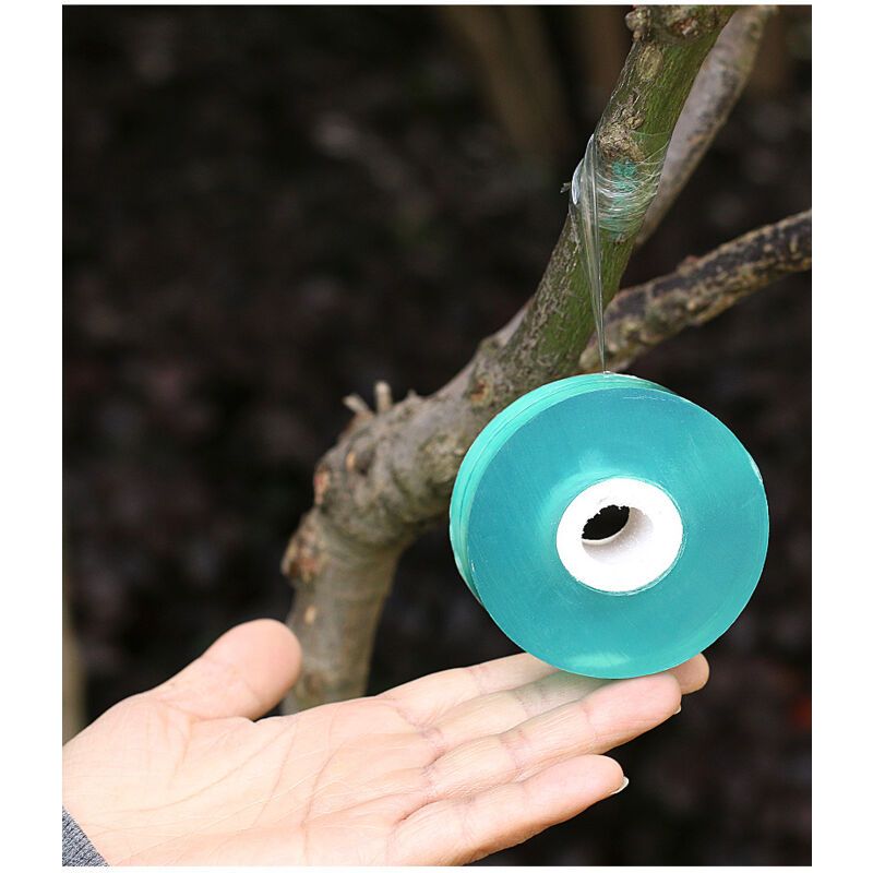 100cmx2cm Stretchable Adhesive Tape Moisture Barrier Tape for Grafting Plant Repair Transparent