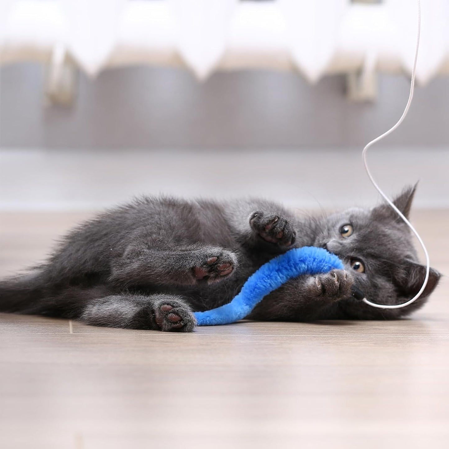 10 Packs Cat Worm Toys, Colorful Worm Cat Toy, Interactive Cats Wand Attachment Toys for Teaser Play and Chase Exercise with Kitten