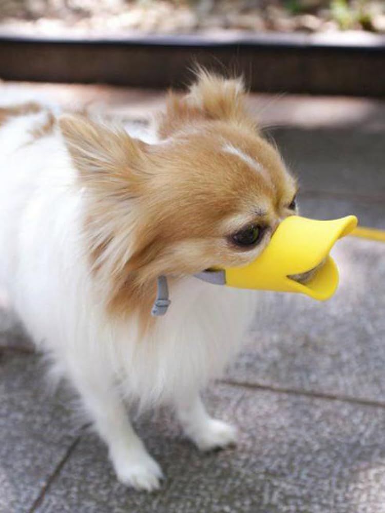 Dog Muzzle,Anti Bite Duck Mouth Shape DogMouth Covers,Soft Duck Silicone Mouth Cover with Adjustable Strap,Small Medium Dogs Muzzle Mask to Prevent Barking,Biting,Chewing(:Yellow,L:13cm/5.12inch)