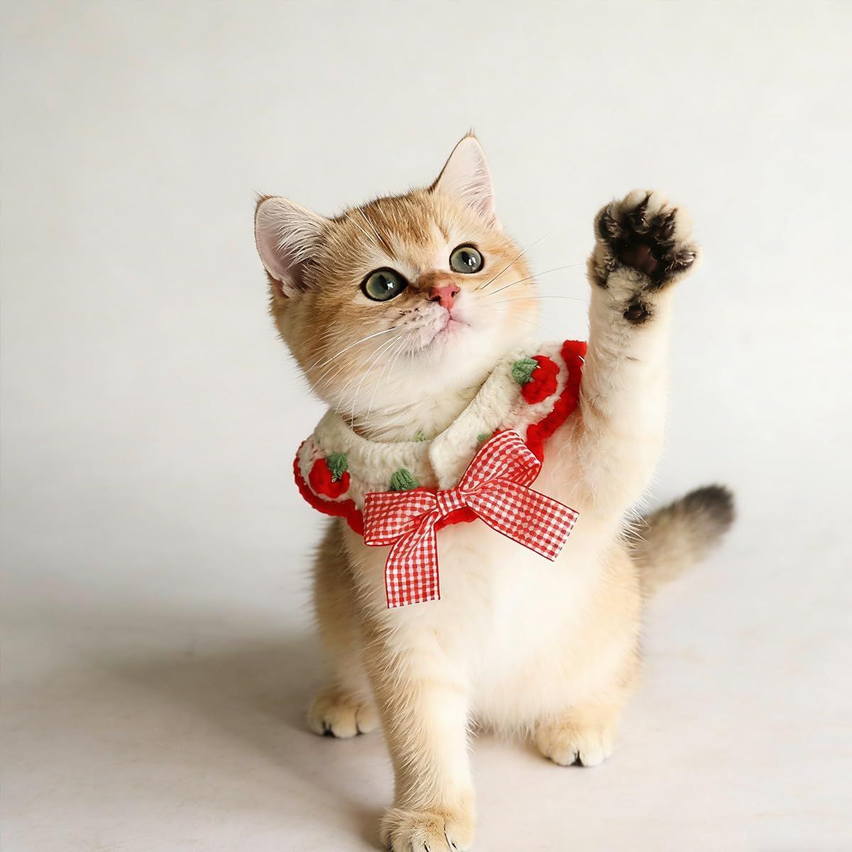 2 Pcs Cat Knitted Collar Cute Strawberry Pattern Scarf Adjustable Kitten Bib Bow with Soft Ruffled Edges Pet Accessories (Red,Medium)