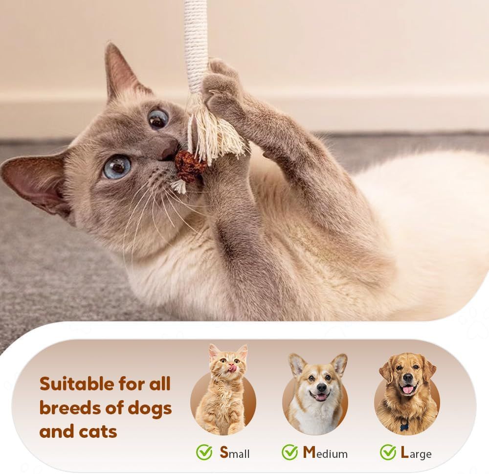 Cat Chew Rope Toy,Interactive Cat Toys for Indoor Cats,Catnip Toys for Bored Indoor Adult Cats,Cat Enrichment Toys,Teeth Cleaning Toy for Kittens All Breeds 23.6in (Purple)