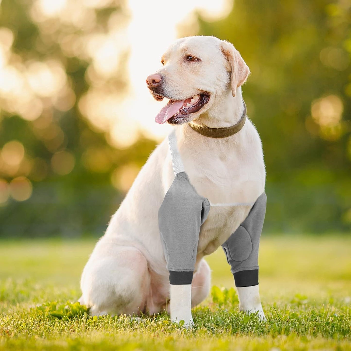 2 Pairs Dog Elbow Protector Dog Recovery Sleeve with Elastic Band Soft Padded Adjustable Front Leg Braces for Small Medium Large Doggy, 2 Colors(X-Large)