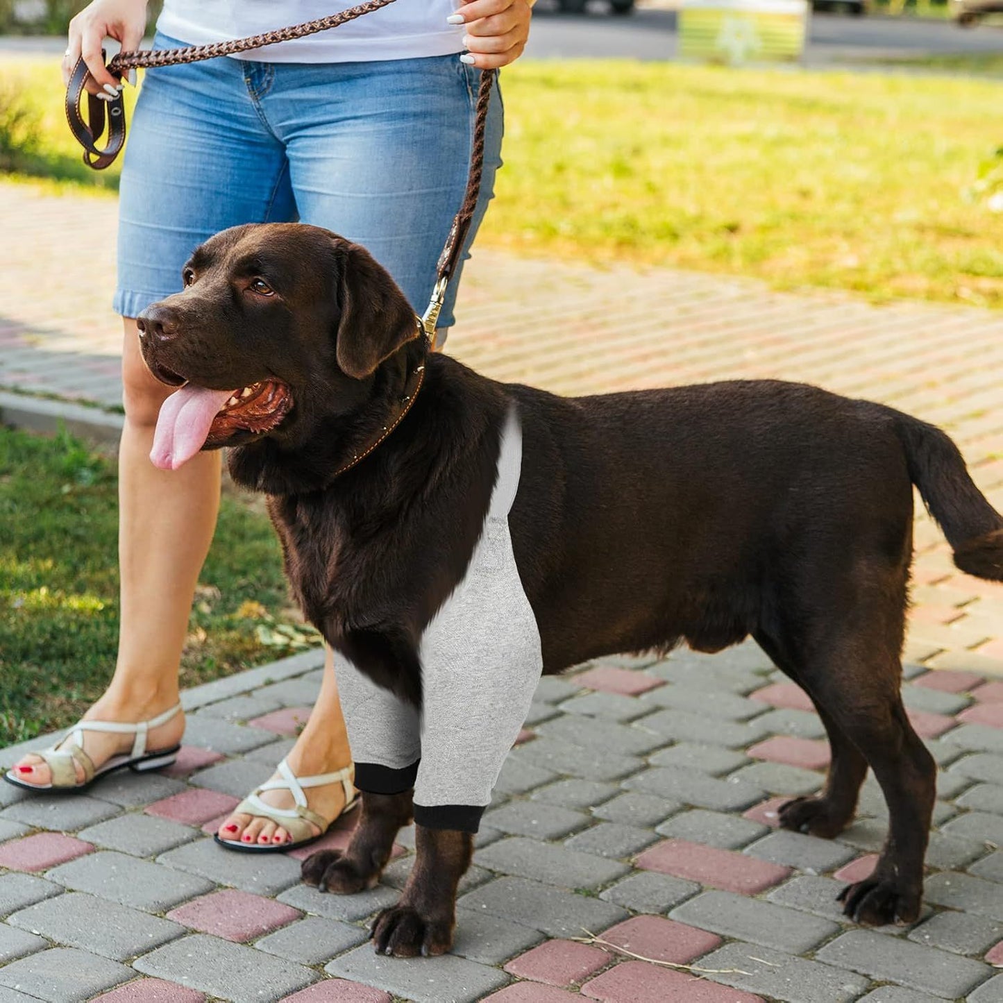 2 Pairs Dog Elbow Protector Dog Recovery Sleeve with Elastic Band Soft Padded Adjustable Front Leg Braces for Small Medium Large Doggy, 2 Colors(X-Large)