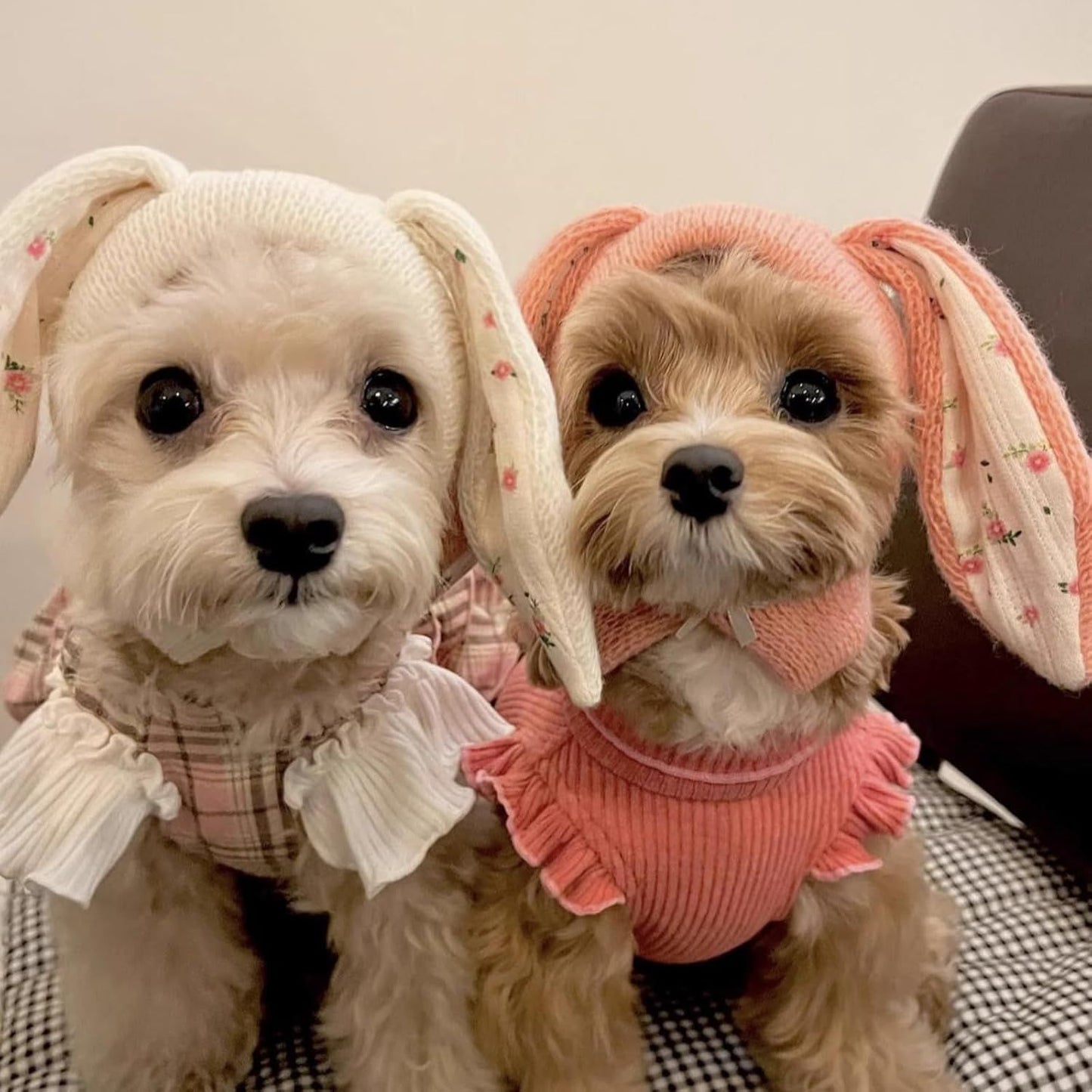 Small Dogs Cats Knitted Snood Cute Hat with Rabbit Ears for Winter Warm, Pet Scarf Headwear Accessory for Photo (White,L)