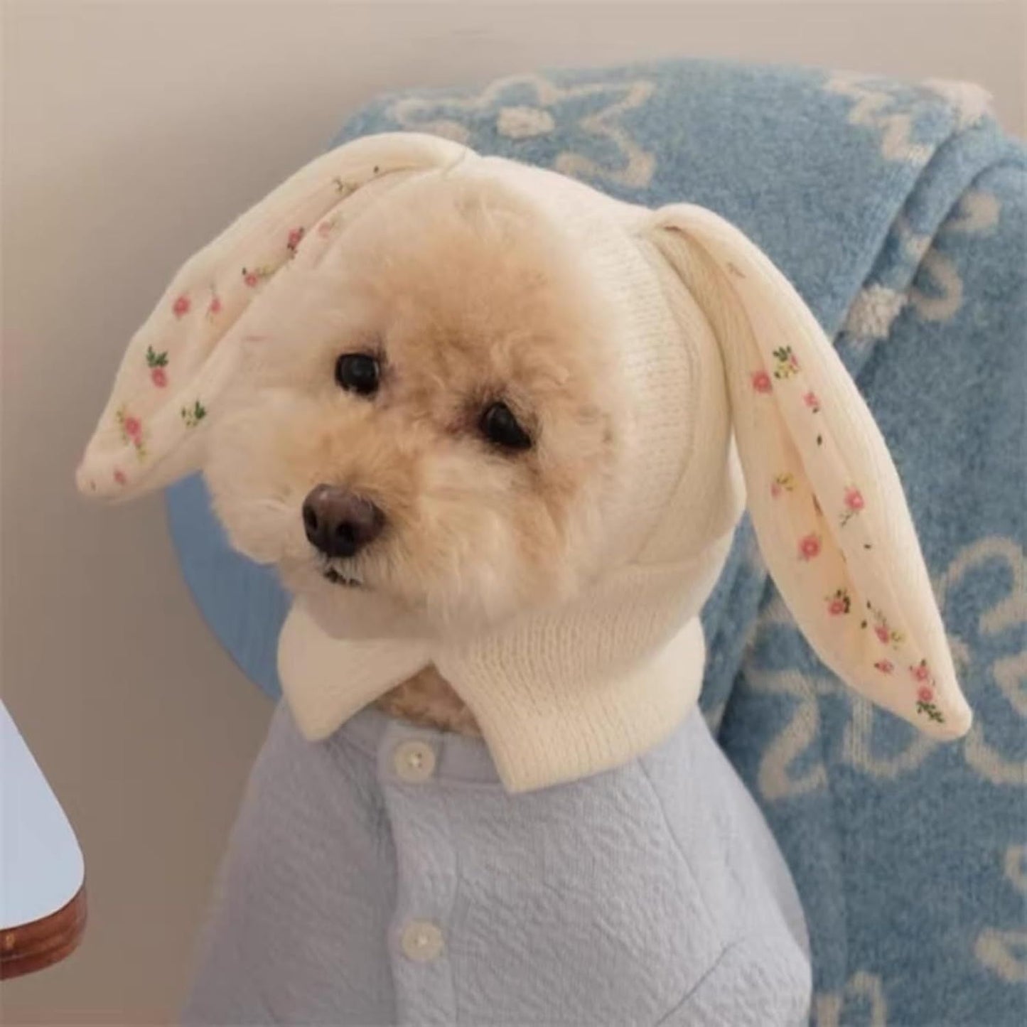 Small Dogs Cats Knitted Snood Cute Hat with Rabbit Ears for Winter Warm, Pet Scarf Headwear Accessory for Photo (White,L)