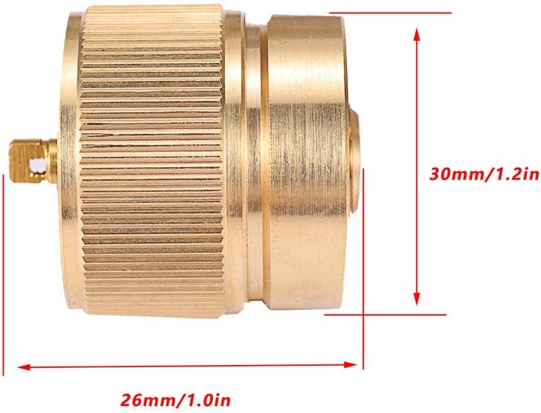 Camping Stove Adapter 1LB Propane Small Tank Input and a Lindal Valve EN417 Output Outdoor Cylinder LPG Canister Convert (Brass)