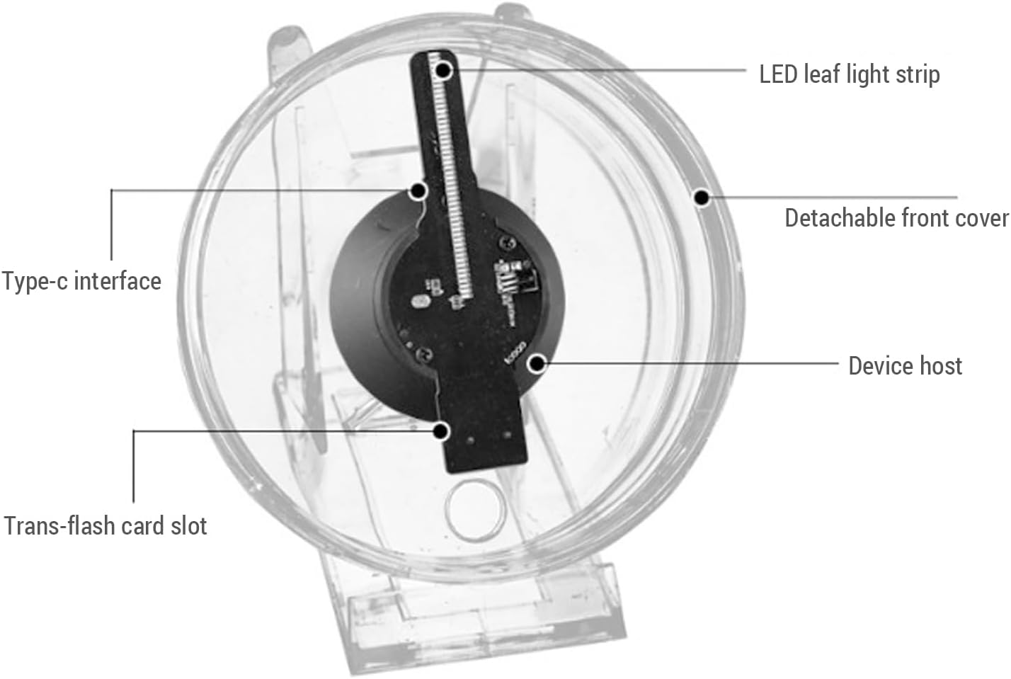 3D Hologram Fan 11cm LED Holographic Projector Advertising Machine Portable Desktop Naked-Eye Stereo Display Built-in Speaker (Transparent)
