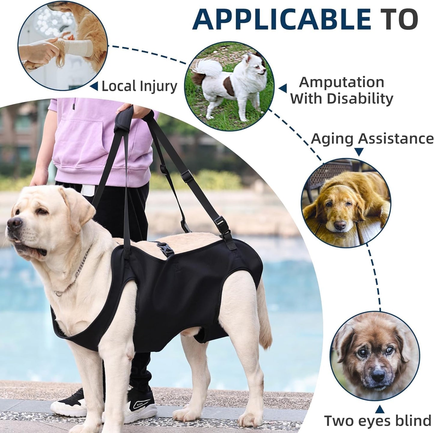 Dog Lifting Strap, Adjustable Sling for Elderly Dogs with Joint Injury and Arthritis, Dog Shoulder Strap for Dogs with Loss of Stability (M)