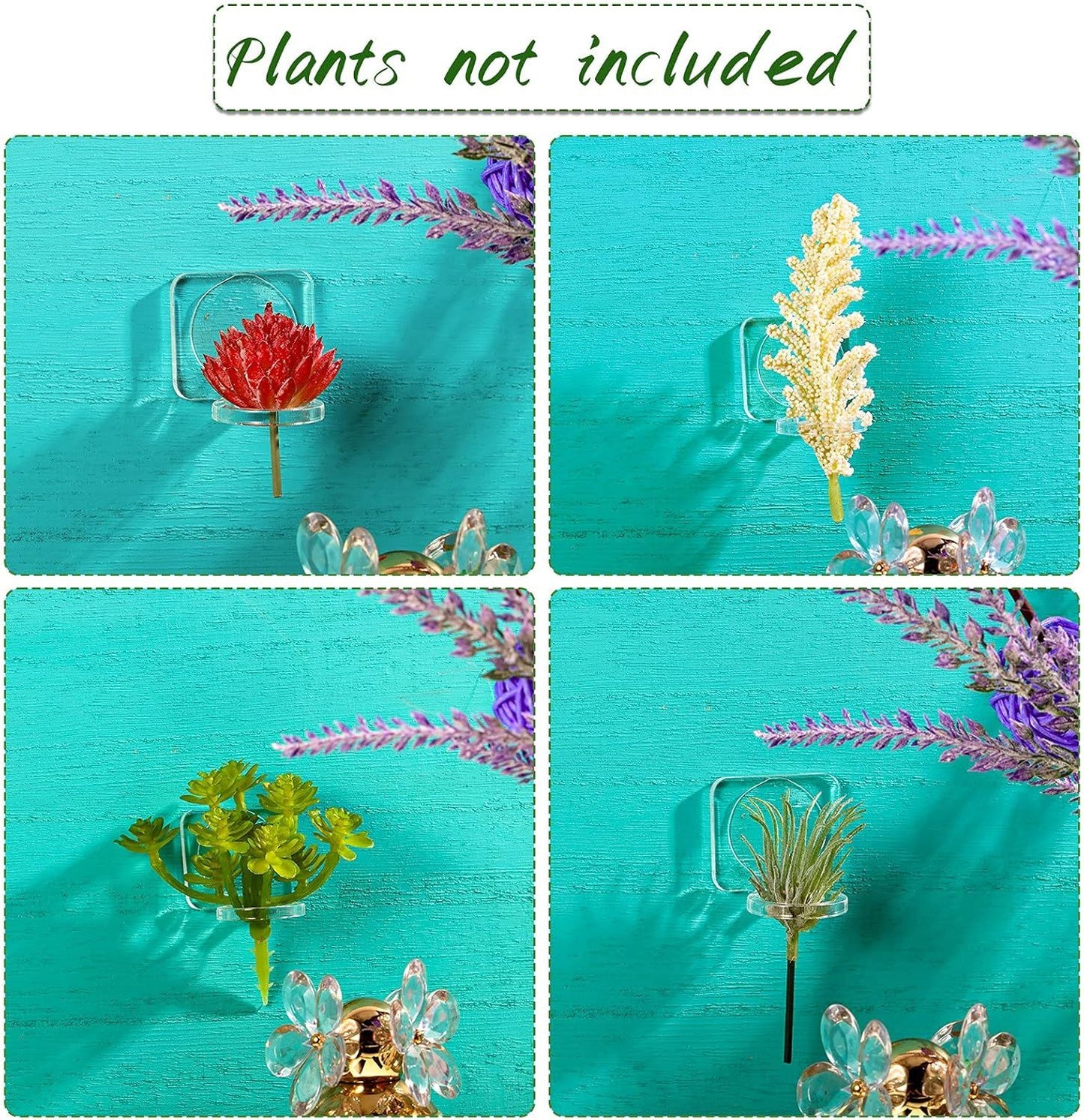 12 Pcs Acrylic Air Plants Holder Hanger with Mounting Tape or Hanging Air Plants on Glass Display Home Decoration