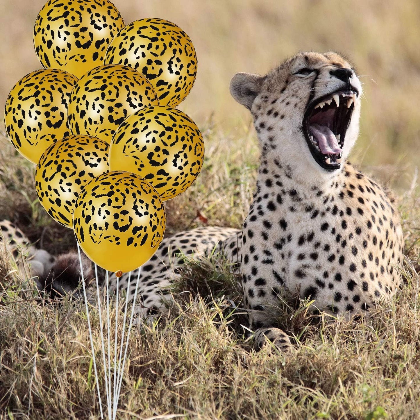 60 Pcs Cheetah Balloons Gold Leopard Print Balloons 12 Inch Spots Latex Leopard Animal Party avors or Saari Jungle Theme Birthday Party Baby Shower Decoration Supplies