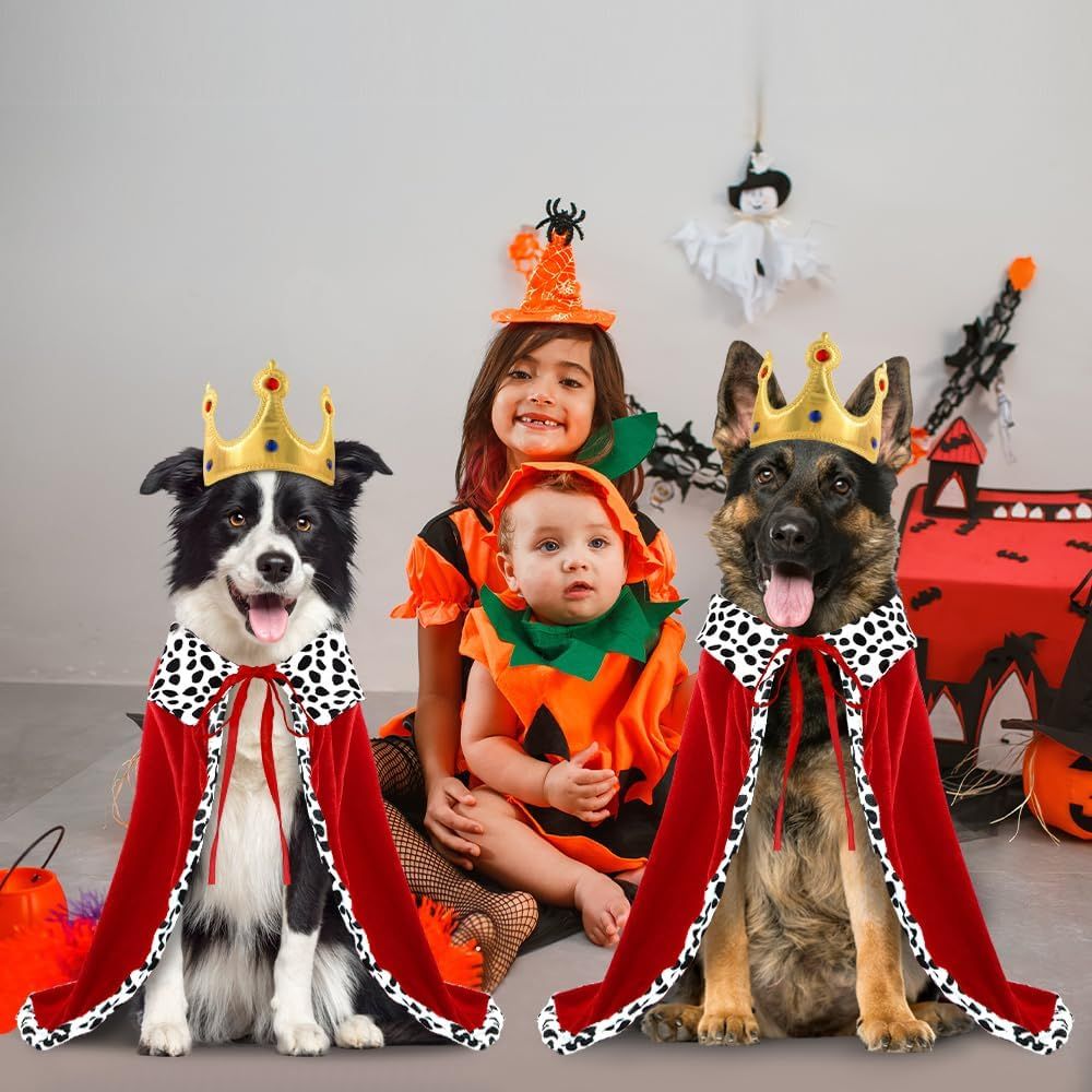 Halloween Dog King Cloak Costume,Cute Funny Halloween Dog King Cape with Crown Adjustable Pet King Cloak for Large Dogs Cats Cosplay Party Supplies Accessories (L)