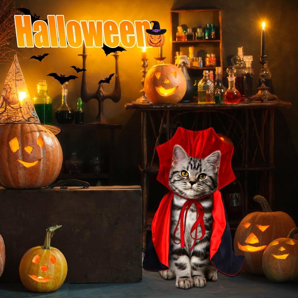 Halloween Pet Cape Costume - Vampire Cloak, Wizard Outfit, Witch Cosplay Apparel, Party Costumes for Small Medium Dogs and Cats - Pet Supplies Accessories