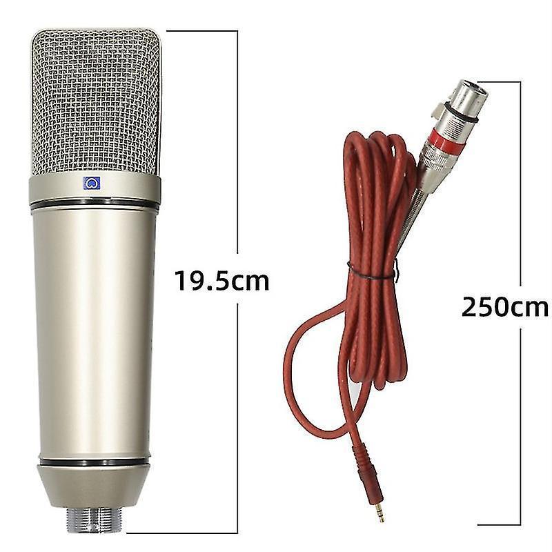 Large Diaphragm Condenser Microphone - Studio/Gaming/Podcast Mic for PC