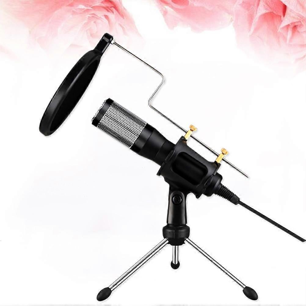 Long Distance USB PC Microphone - Clip-on Recording Mic with USB Plug