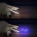 5 LED UV Flashlight Purple Light for Detection & Outdoor Use