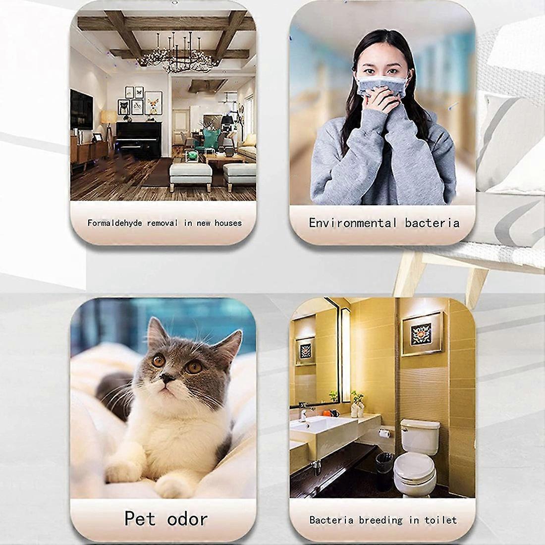 Plug-in Mini Air Purifier, Ion Generator for Bedroom & Pet Areas