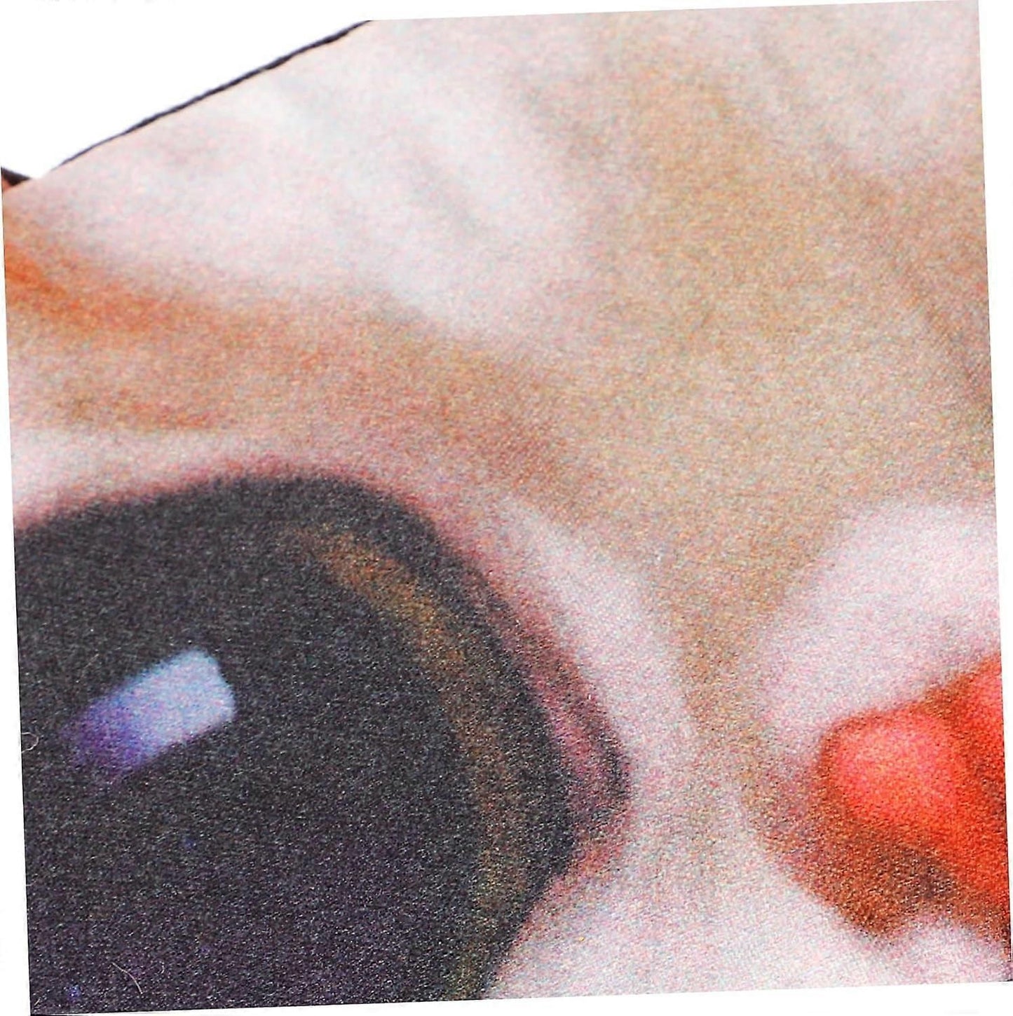 3D Cartoon Animal Sleep Mask - Creative Eye Mask for Sleeping