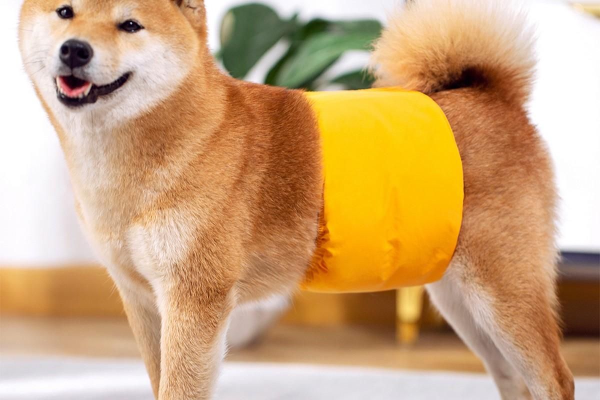Washable Dog Diaper Water-resistant Puppy Nappy Belly Wrap for Male Dogs Reusable Dog Belly Bands Male Puppy Nappies Wrap Yellow - XL