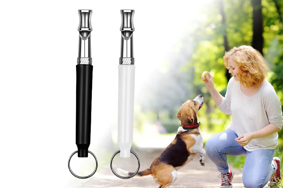 2 Pack Pet Dog Training Whistle Ultra Sonic Adjustable Pitch
