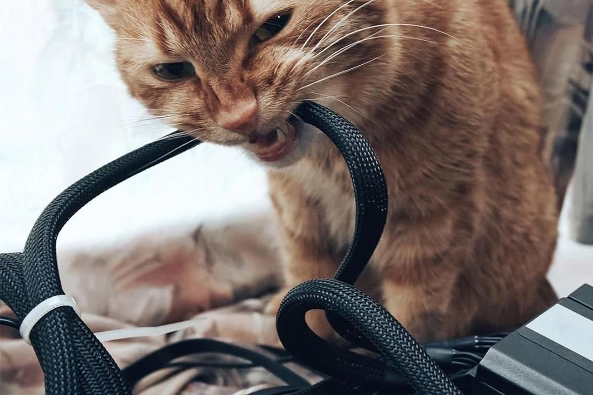 No Chew Cord Protector for Pets Bite Resistant Cable Sleeve for Cats Dogs Rabbits - S