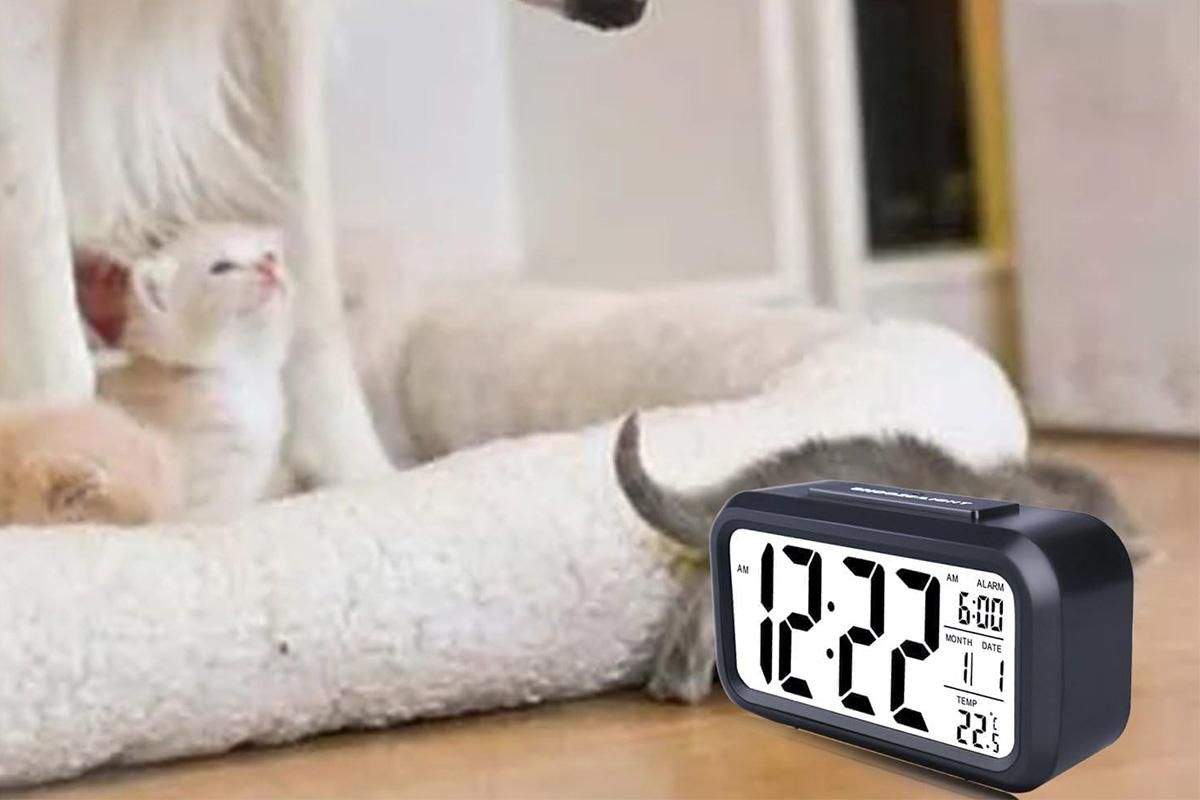 Desk Small Clock Night Light Digital Alarm Clock Battery Operated with Indoor Temperature -Black