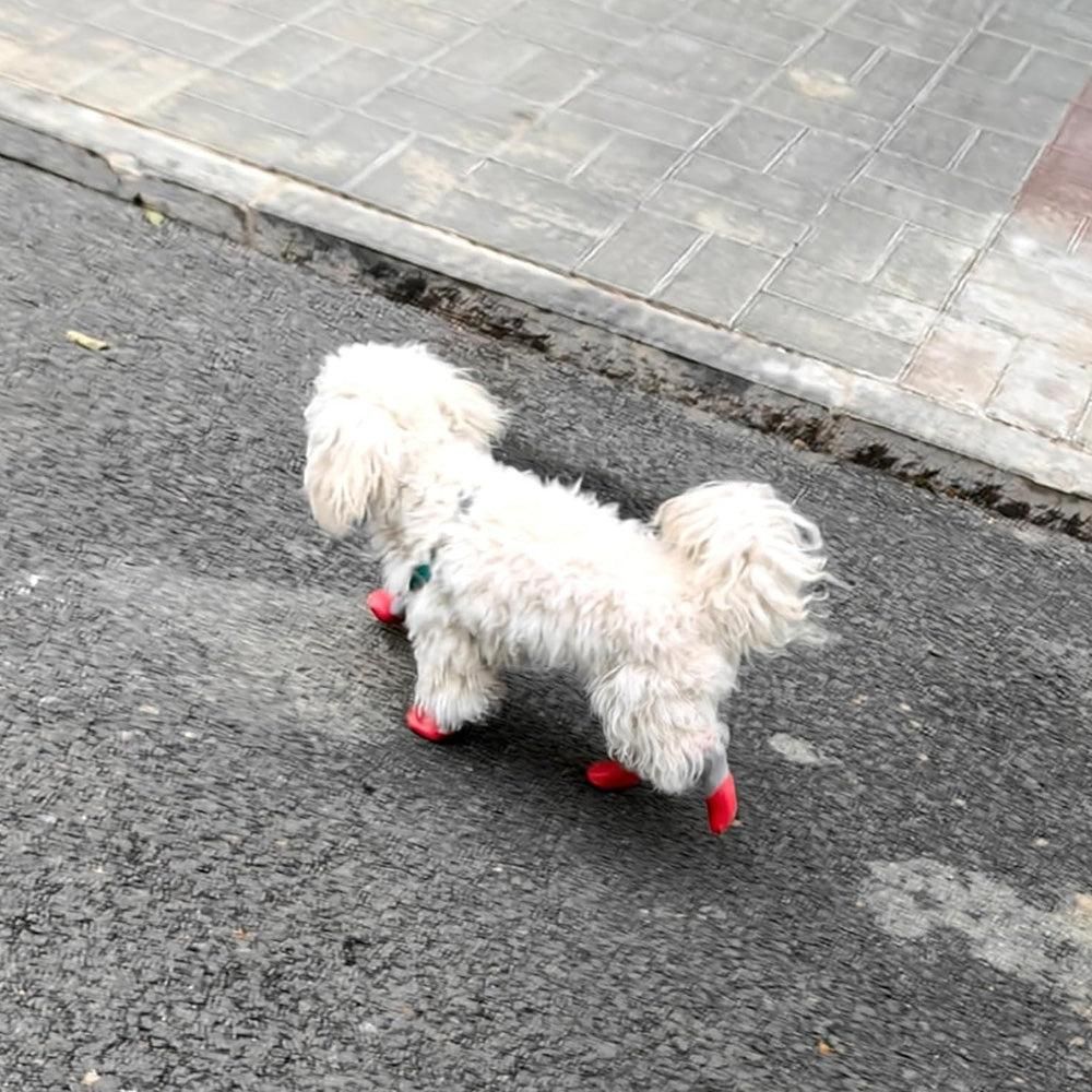 Waterproof Anti Slip Pet Shoes with Rubber Sole for Indoor and Outdoor Use Red - S