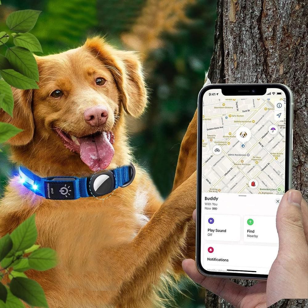 Luminous LED Pet Dog Collar Light-up USB Rechargeable Dog Collar Blue - M