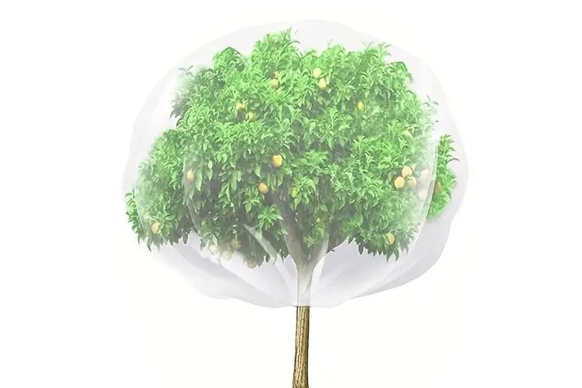 Bird Netting for Garden Protection Garden Netting Pest Barrier with Drawstring