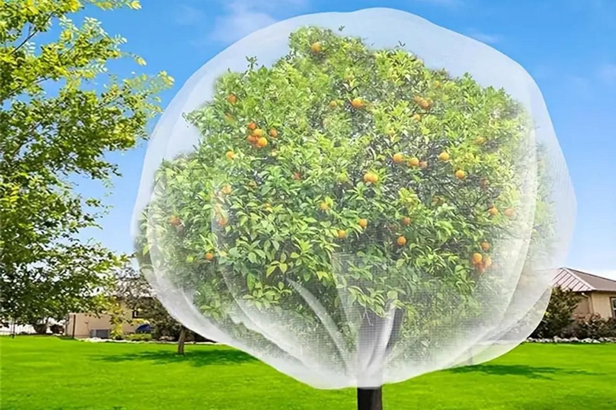 Bird Netting for Garden Protection Garden Netting Pest Barrier with Drawstring
