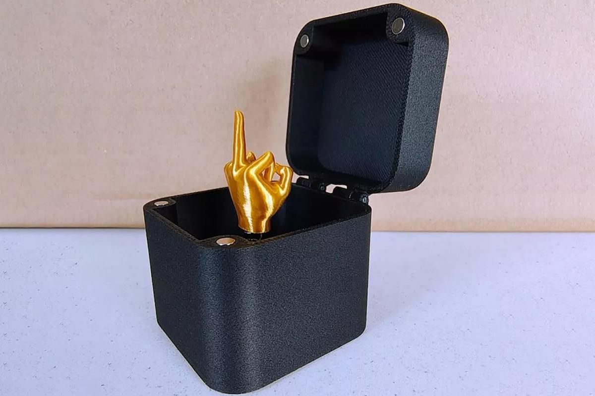Middle Finger in a Box Middle Finger Surprise Box