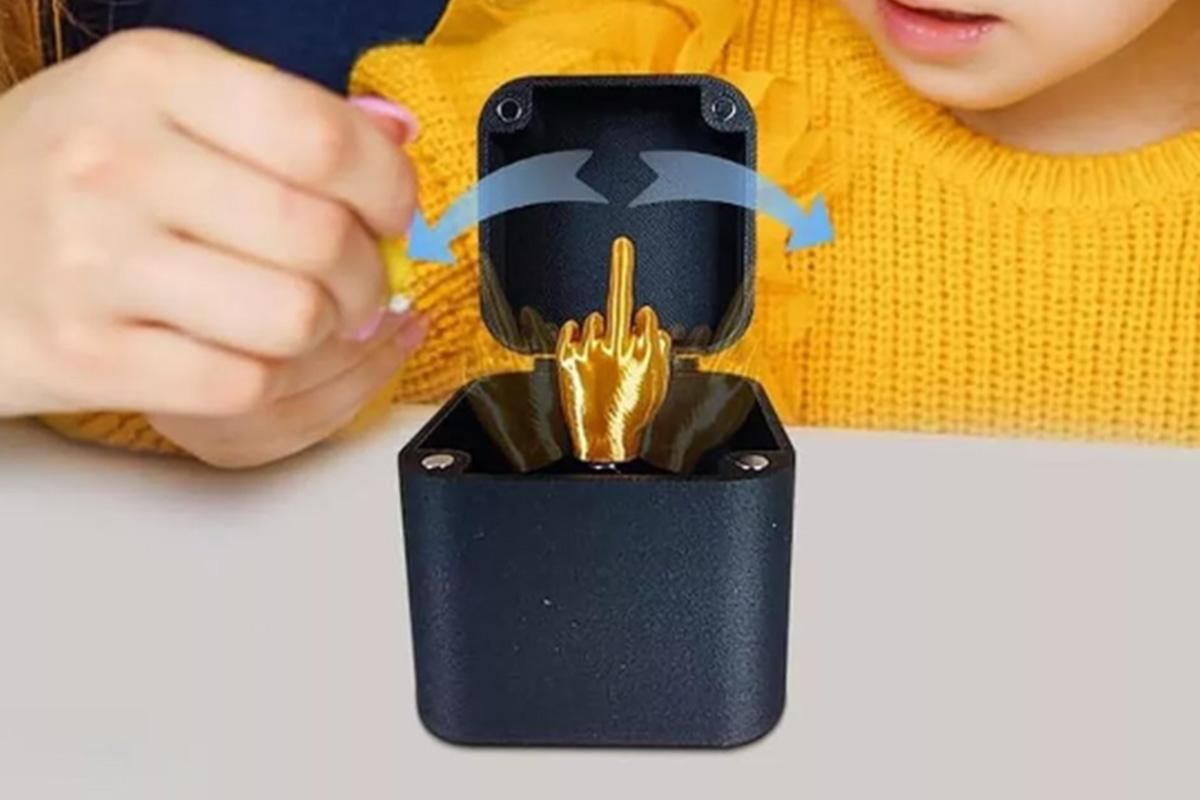 Middle Finger in a Box Middle Finger Surprise Box