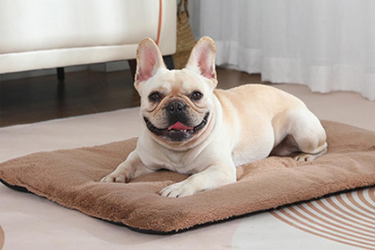 2Pcs Pet Blanket Self-Heating Bed Pad Cat Dog Self-Warming Cushion-Khaki L
