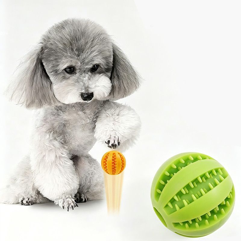2 Large Pet Treat Dispenser Balls, 7CM - Durable Teething and Dental Care Toys - Orange-Red