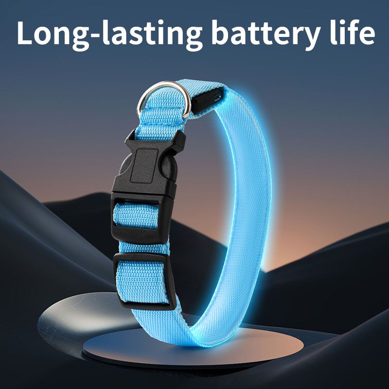 LED Light-Up Pet Collar, Large, Adjustable, USB Rechargeable, for Cats and Dogs, Nighttime Anti-Lost– Blue