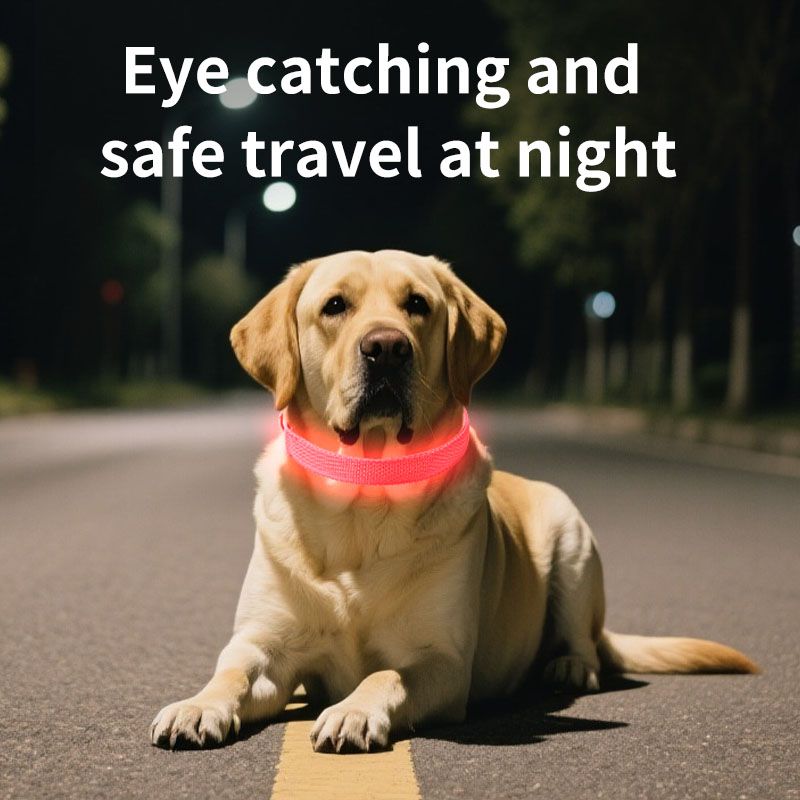 LED Light-Up Pet Collar, Large, Adjustable, USB Rechargeable, for Cats and Dogs, Nighttime Anti-Lost– Blue