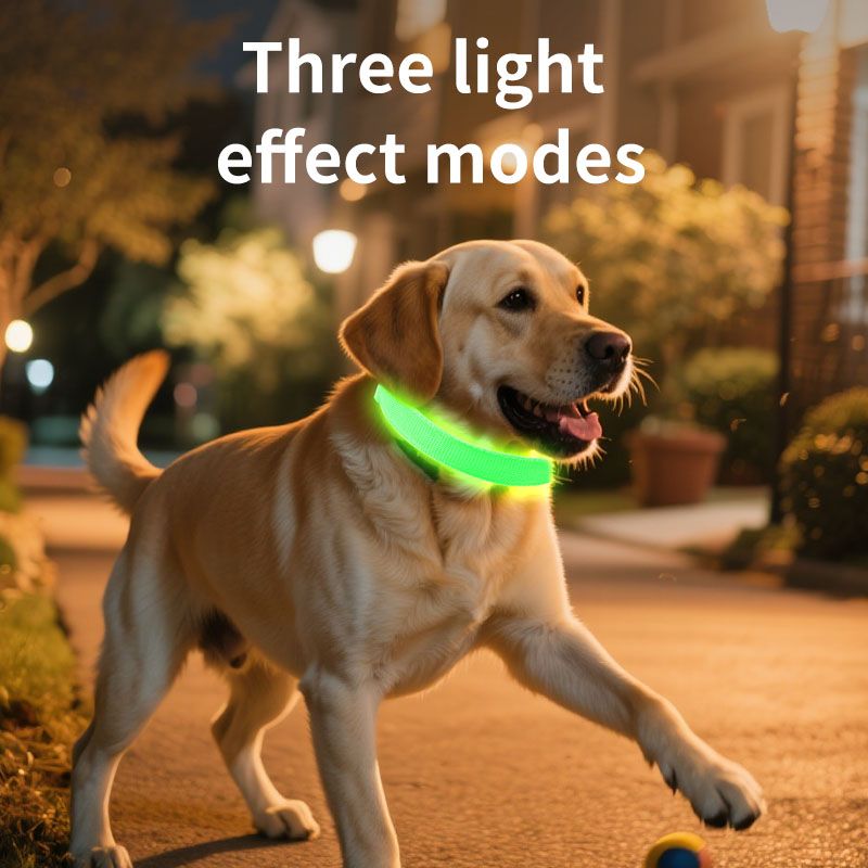 Pet LED Light-Up Collar, Large, Adjustable, USB Rechargeable, for Cats and Dogs, Nighttime Anti-Lost - Green