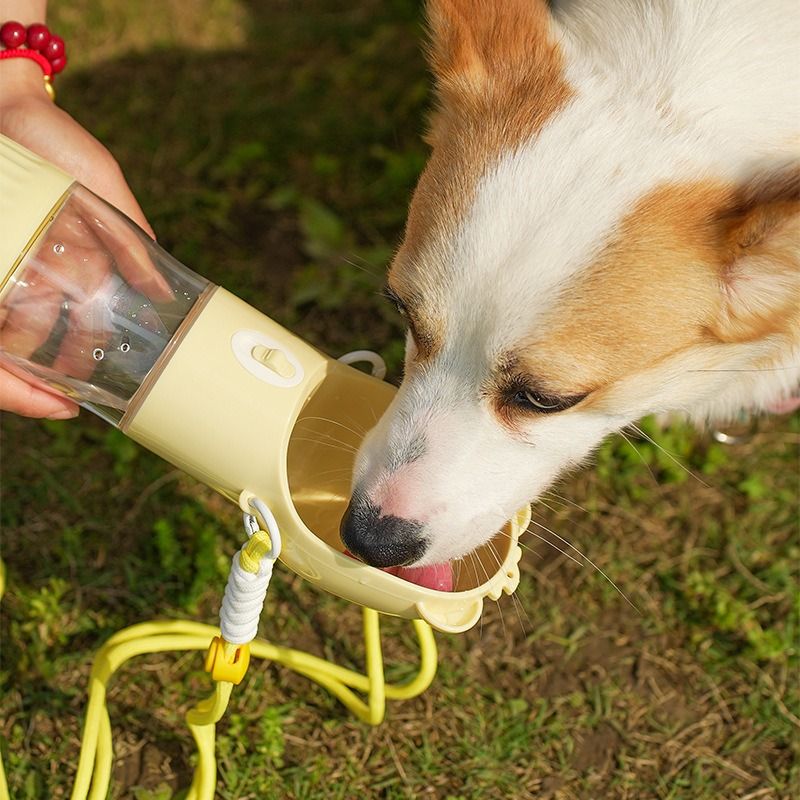 All-in-One Water and Food Pet Travel Cup, Portable Water Dispenser for Dogs and Cats – White