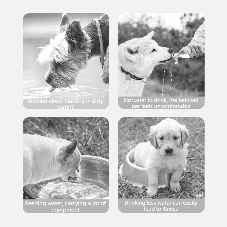 350ML Portable Outdoor Pet Water Cup, Leak-Proof Travel Water Dispenser - White