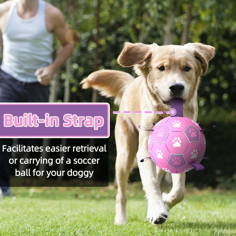 Durable Dog Soccer Ball Toy, 15cm Inflatable Soccer Ball, Teething and Entertainment Training Ball, Includes Pump - White