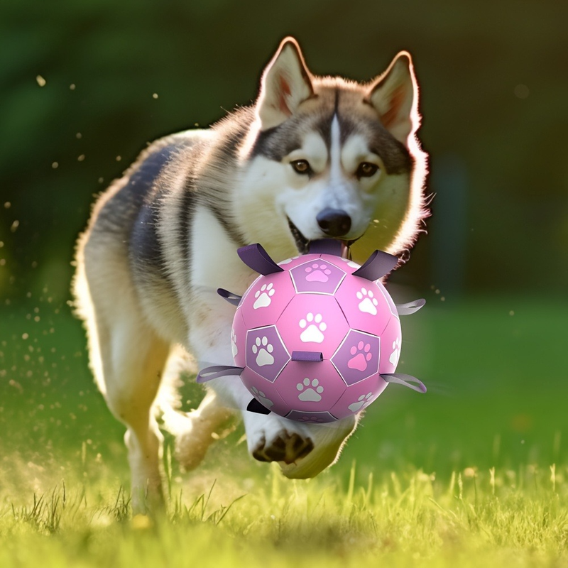 Durable Dog Soccer Ball Toy, 15cm Inflatable Soccer Ball, Teething and Entertainment Training Ball, Includes Pump - White