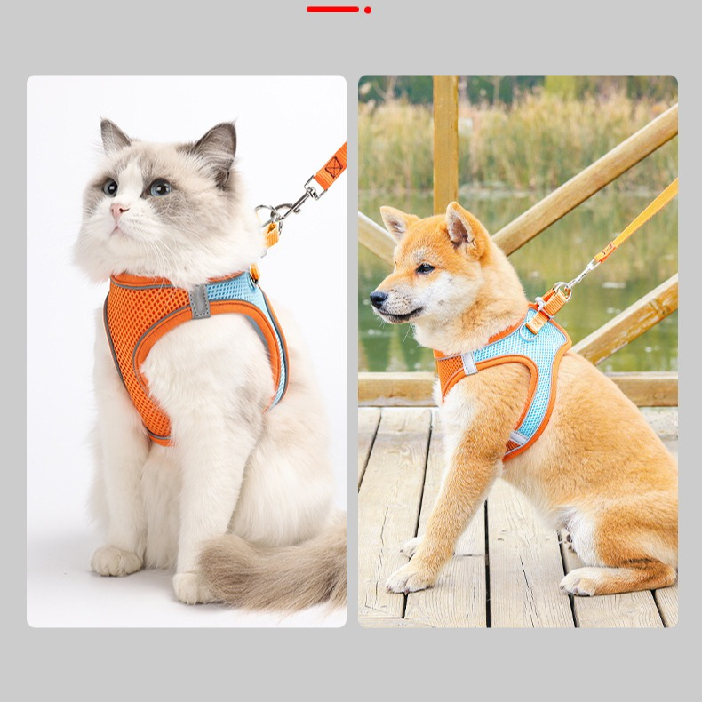 Breathable Reflective Pet Harness Set: Vest-Style Dog Harness + Leash - Orange and Blue-XS