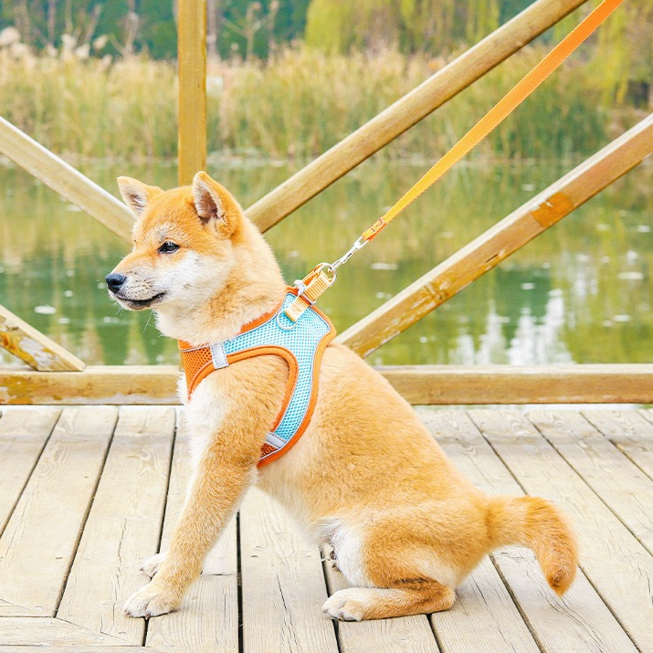 Breathable Reflective Pet Harness Set: Vest-Style Dog Harness + Leash - Pink and Blue-S