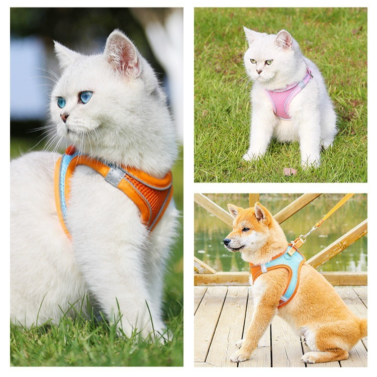 Breathable Reflective Pet Harness Set: Vest-Style Dog Harness + Leash - Pink and Blue-XS