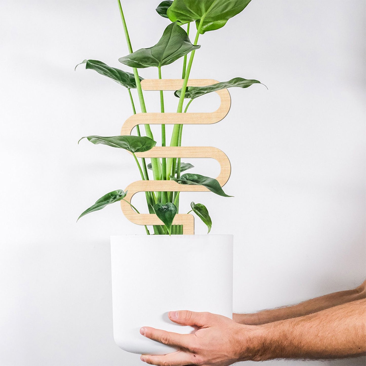 Climbing Vine Fixed Frame China Rose Flower Holder Indoor Flower Plant Support Pole