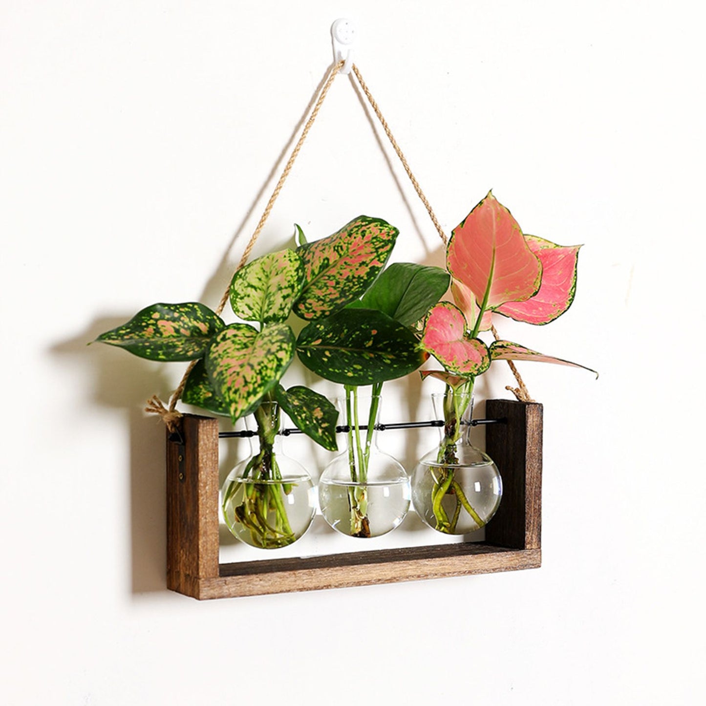 Wall Mounted Hydroponic Vase Green Plant Wooden Frame Vase for Living Room Home Decor