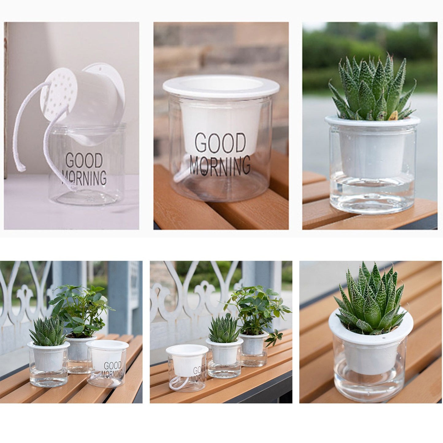 Automatic Water Absorbing Transparent Pot Creative Round Office Desktop Green Plant Hydroponic Plastic Flower Pots